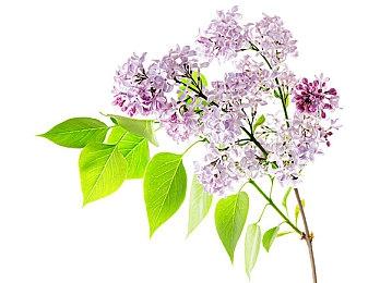 幻想动作RPG《尘封大陆》实机预告曝光